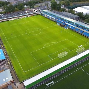 Generic Player Profile Image 4